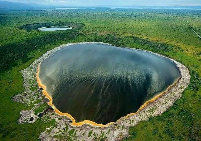 Ngorongoro