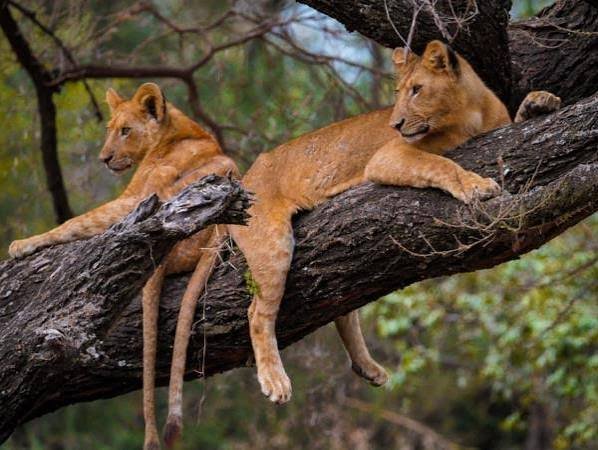 Lake Manyara